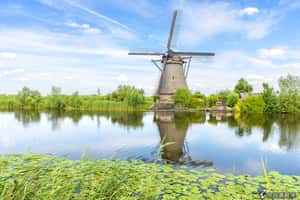 遊客太多很困擾  荷蘭風車村居民抗議