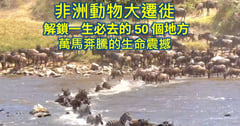 非洲動物大遷徙 解鎖一生必去的50個地方！2026肯亞坦尚尼亞Safari雙國圓夢攻略：8天7夜費用、馬拉河渡河實測與熱氣球體驗全紀錄