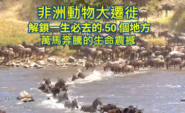 非洲動物大遷徙 解鎖一生必去的50個地方！2026肯亞坦尚尼亞Safari雙國圓夢攻略：8天7夜費用、馬拉河渡河實測與熱氣球體驗全紀錄