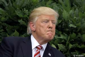 謎樣的covfefe法案  記錄川普一言一行