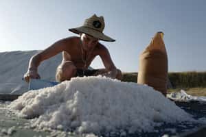 驚人但不意外的發現：海鹽也被塑膠汙染