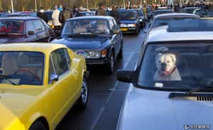 用一條會唱歌的路促進交通安全 荷蘭居民：吵死了！