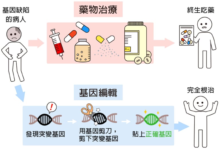 文章插圖