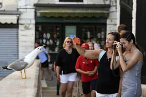 【地球 24小時】07/09 不要再拍了啦！