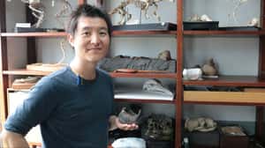 台灣也有國家寶藏！從化石窺探海洋古生物保育——專訪台灣大學生科系蔡政修教授