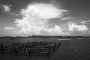 空想家的荒謬的飛行島  【台灣閒置公設】雲林離島工業區