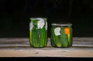 走了一個我，還有千千萬萬個我：美國高速公路那罐「永遠都在醃的小黃瓜」