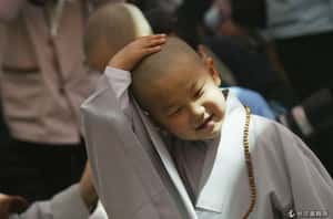 短期小和尚體驗