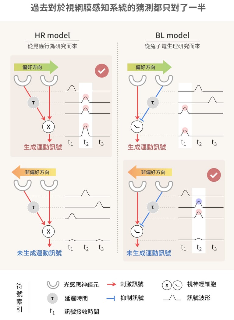 文章插圖