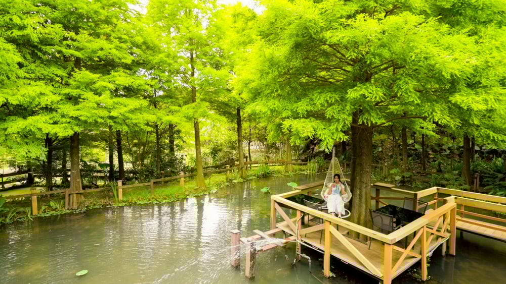 桃園農遊季開跑 結合生態體驗打造永續農遊新典範