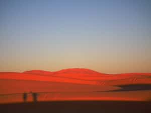 沙漠的旅行奇蹟