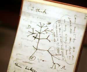 復活節奇蹟：失蹤22年的達爾文筆記離奇回歸英國劍橋大學