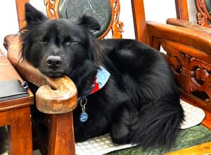 【飛行船通訊】聽說「每年夏日都是餘生最涼的」超級夏天的熱力讓新鮮人都不新鮮了