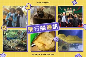 【飛行船通訊】相隔千日迎來229，飛行船相隔千里送上2月文章大禮包