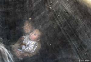 冰封多年傳染病因暖化開始現身   俄國極圈爆發炭疽病