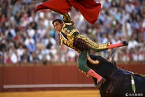 要維護傳統文化 西班牙判加泰隆尼亞鬥牛禁令違憲