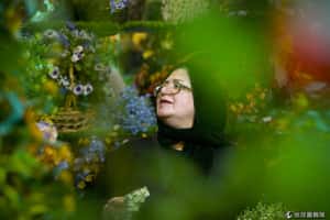 看見不一樣的伊朗   八面向讓你大吃一驚