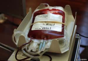 美將放寬男同性戀者參與捐血