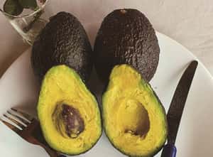 非洲綠金酪梨 小農脫貧新寄望