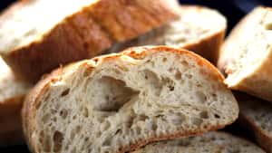 一罐住在冰箱的寵物 加拿大百年老麵準備搬到比利時