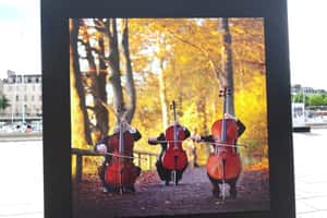 音樂會到底要聽什麼？「初心者」教戰守則 (2)