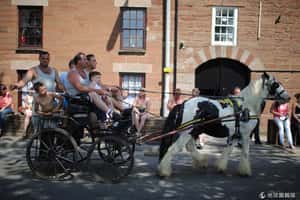 吉普賽人年度盛事    艾波比馬匹交易大會