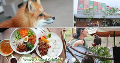 高雄內門新地標！「野森動物學校」必看四大亮點：倒掛樹懶陪吃飯、零距離摸狐狸尾巴，萌到不想回家【超完整攻略懶人包】