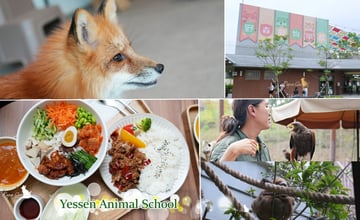 高雄內門新地標！「野森動物學校」必看四大亮點：倒掛樹懶陪吃飯、零距離摸狐狸尾巴，萌到不想回家【超完整攻略懶人包】