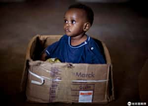 剛果「孤兒」不是孤兒   比利時下令驗DNA認親