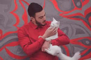 給愛貓的男士們：換下貓貓大頭貼，更容易配對成功