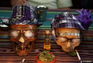 地球24小時：11/8/14