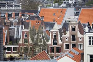 【地球圖書館】「你的租金，由我來守護！」荷蘭租金協調部隊，阻止房東隨意哄抬房租