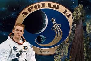 月球樹—活的登月紀念碑　曾繞著月球飛行的種子，最後在地球土壤紮根茁壯