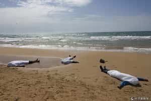 2013路透社攝影大賞(下)