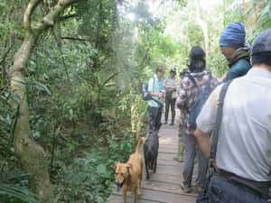 寵物禁入國家公園 不是台灣獨有！