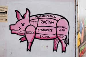 他因高喊「我們愛培根」遭逮捕　英國湖區清真寺建案引發的文化衝突