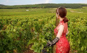 南法河輪行(2) 岸上多種活動選擇，讓法國旅遊好精彩