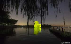 今夏它最夯  小黃鴨魅力席捲亞洲