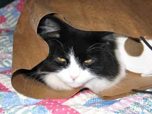 家族聚會生存指南：如何應對煩人的親戚？