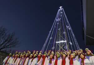 北韓當成眼中釘   聖誕樹塔讓南韓傷腦筋