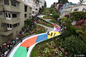 2013何處去系列番外篇：最佳城市舊金山