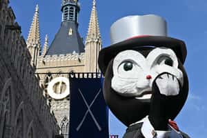 把貓往下丟的比利時拋貓節　中世紀貓咪的惡夢，現代貓奴的狂歡