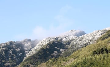 營區開箱｜新竹尖石。深山住一晚 老鷹溪107號營地