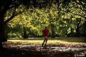 醫生：公園綠地運動效果加倍