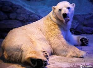 【回眸一笑的地球 24小時】07/03 你在看我嗎？