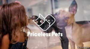 寵物店免費送狗 巴西動保妙點子