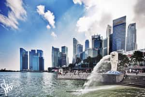 富人海外藏錢需求大增，新加坡將成亞洲瑞士