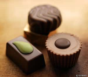 人類把巧克力吃光了：可可豆產量極度短缺、寒冬將至