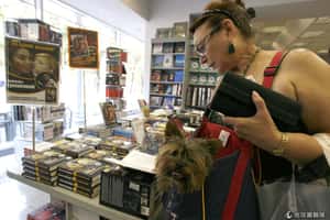 俄閱讀人口降 釀惡性循環