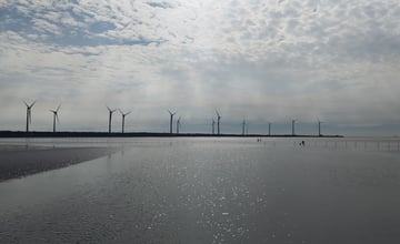 【遊記】「高美海水浴場」華麗大變身，高美濕地 - 大漠國渡